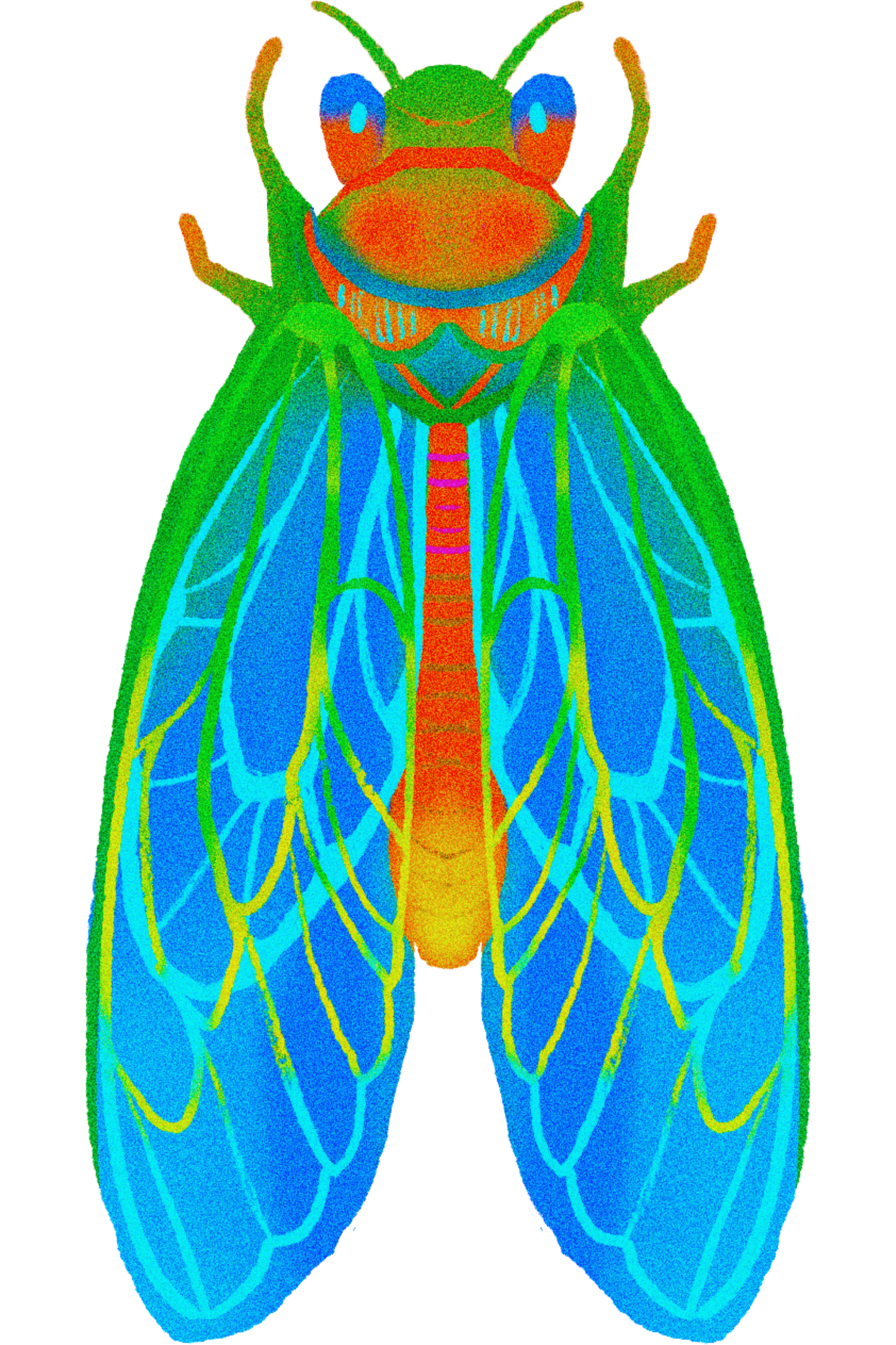 Cicada – Kids T-Shirt
