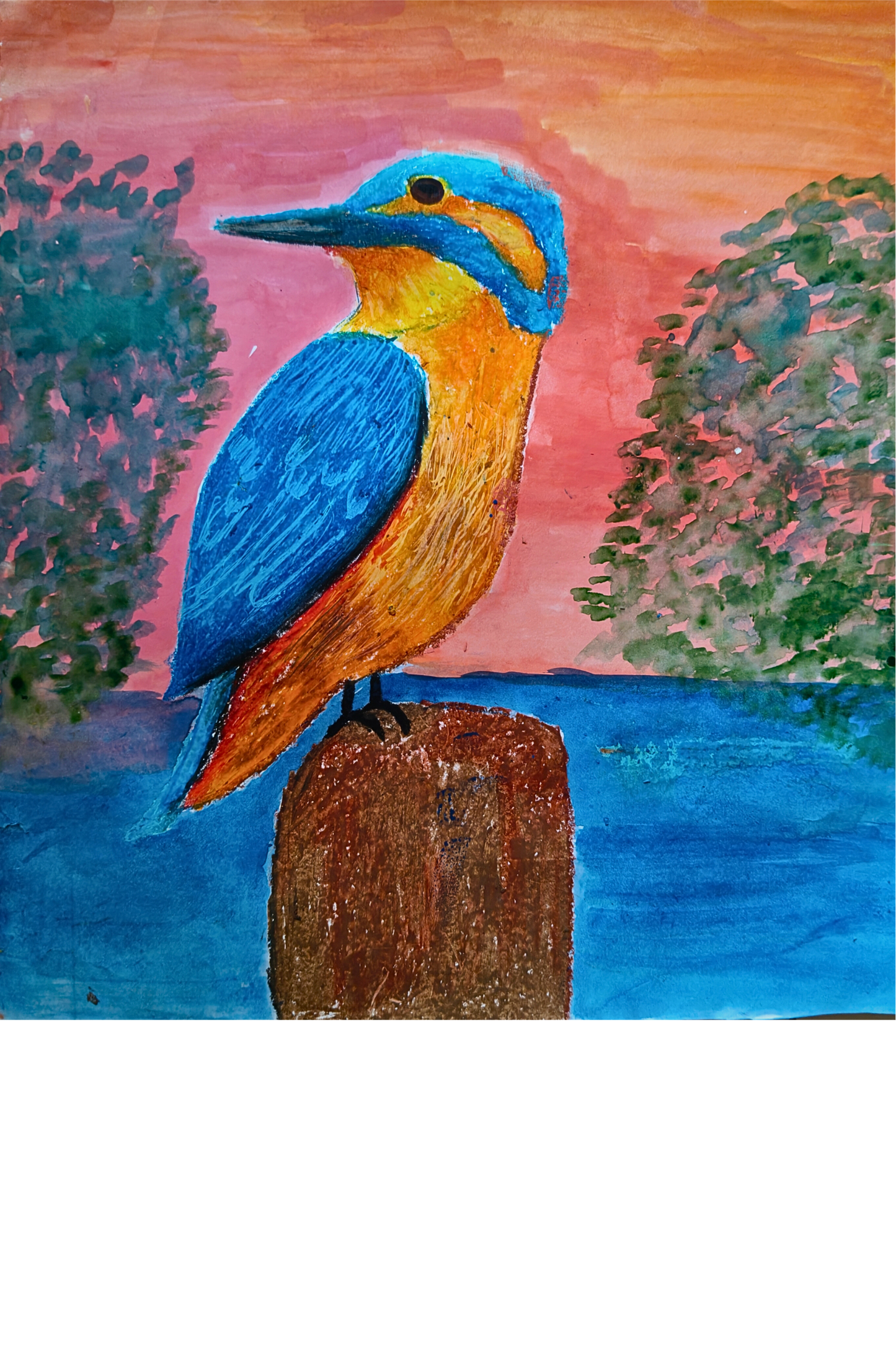 Kingfisher T-Shirt for Kids