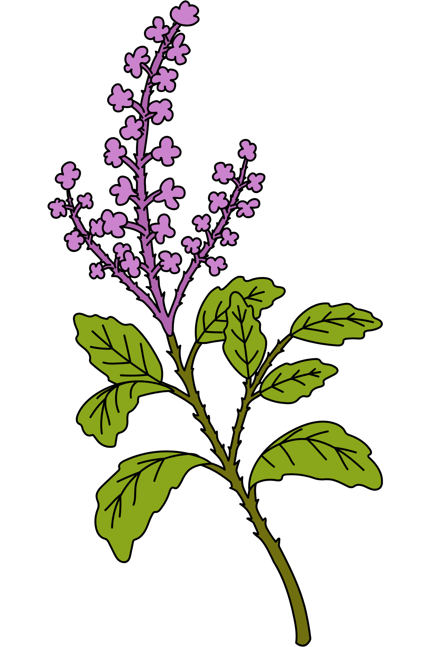 Holy Basil Tote Bag