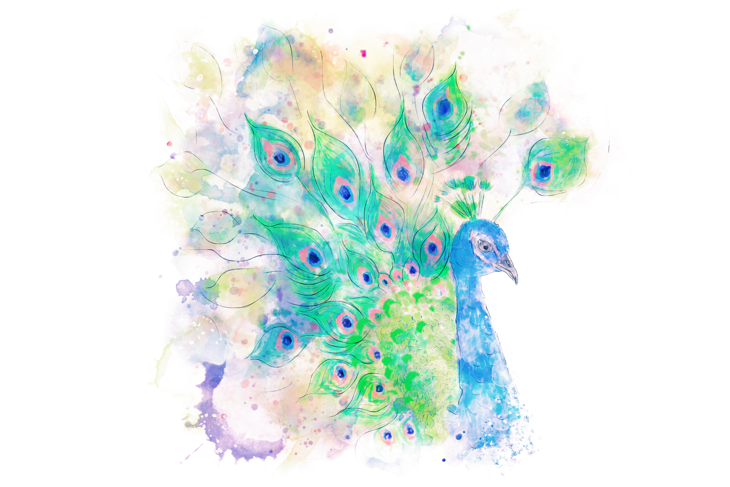 Glory of the Peacock T-Shirt for Women
